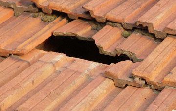 roof repair Harrowbeer, Devon